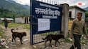 Uttarakhand: 10 Schools Shut Till August 23 In Chamoli Amid Dog Attack Fears