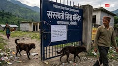 Uttarakhand: 10 Schools Shut Till August 23 In Chamoli Amid Dog Attack Fears