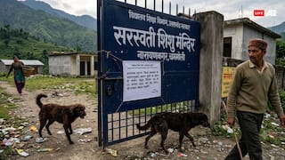 Uttarakhand: 10 Schools Shut Till August 23 In Chamoli Amid Dog Attack Fears