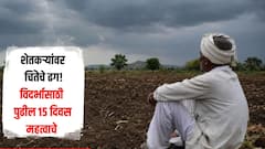 शेतकऱ्यांवर चिंतेचे ढग! विदर्भासाठी पुढील 15 दिवस महत्वाचे, नेमकी कशी असणार पावसाची स्थिती? हवामान विभागाचा अंदाज काय?