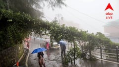 Weather Update: বৃষ্টি হচ্ছে, কিন্তু কমছে না আর্দ্রতাজনিত অস্বস্তি! আজও দুর্যোগ নাকি পরিষ্কার থাকবে আকাশ? আবহাওয়ার আপডেট