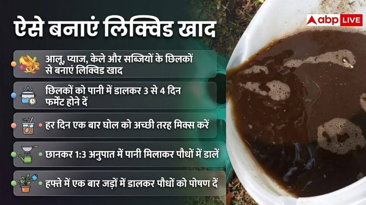 सब्जियों के छिलके फेंके नहीं, ऐसे बनाएं ऑर्गेनिक खाद