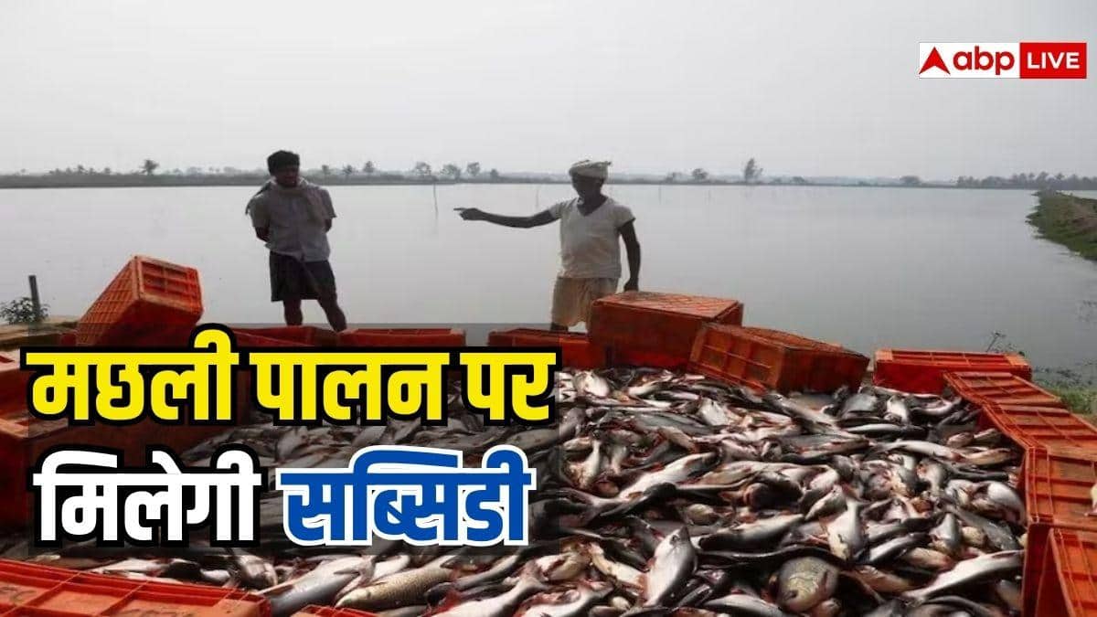 मछली पालन से कमाई बढ़ाएं, सरकार भी दे रही मदद