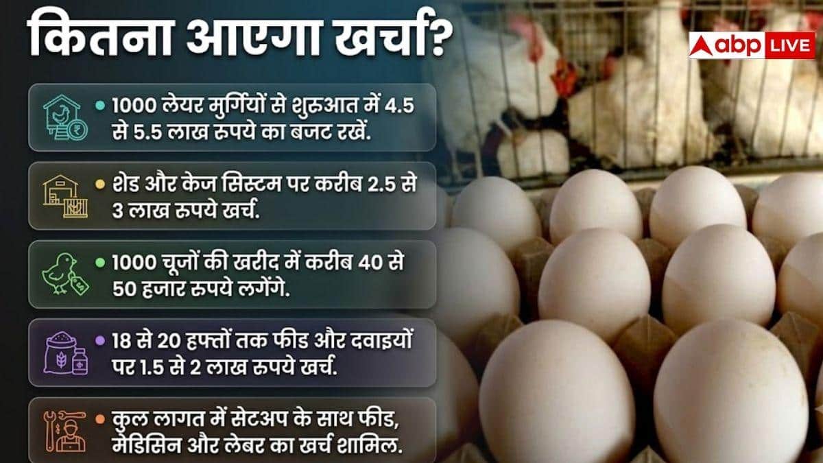 अपने फार्म हाउस पर कैसे करें अंडा फार्मिंग, कितना आएगा खर्च?