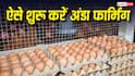 अपने फार्म हाउस पर कैसे करें अंडा फार्मिंग, कितना आएगा खर्च?