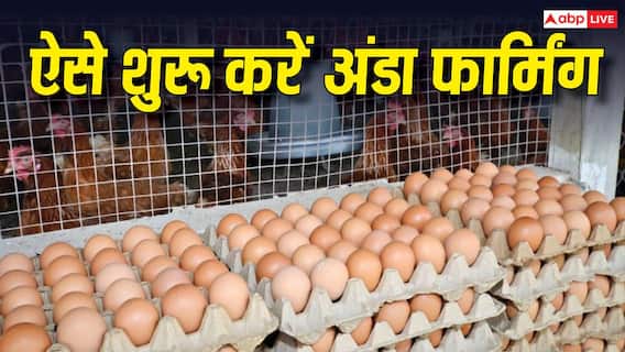 अपने फार्म हाउस पर कैसे करें अंडा फार्मिंग, कितना आएगा खर्च? अपने फार्म हाउस पर कैसे करें अंडा फार्मिंग, कितना आएगा खर्च?