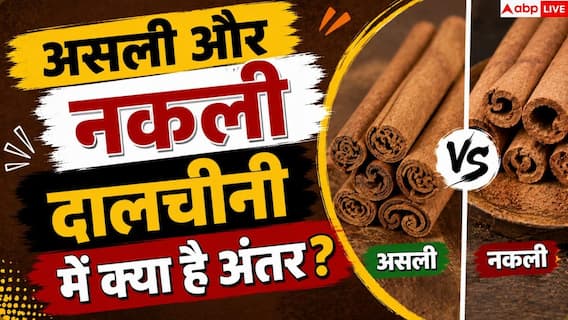 How To Identify Real Cinnamon: कैसे करें असली दालचीनी की पहचान, बड़े काम की है ये ट्रिक How To Identify Real Cinnamon: कैसे करें असली दालचीनी की पहचान, बड़े काम की है ये ट्रिक