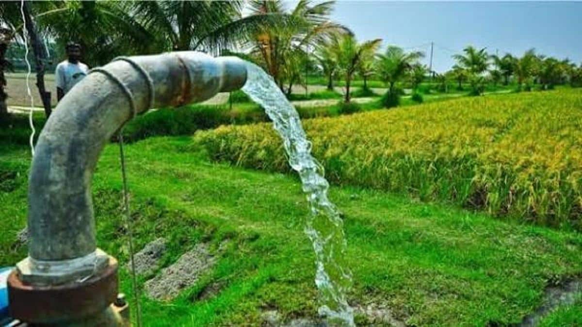 நடப்பாண்டு குறுவை சாகுபடியில் 2 லட்சம் ஏக்கர் குறைவு: சம்பா சாகுபடிக்காவது தண்ணீர் கிடைக்குமா?