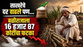 साखरेच्या दरात वाढ, पण शेतकऱ्यांच्या पदरात काय? बळीराजाला तब्बल 16 हजार 87 कोटींचा फटका, वाचा नेमकं प्रकरण काय?