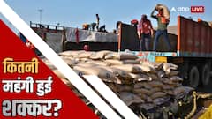 चीनी महंगी होने पर भी 16,087 करोड़ के नुकसान में क्यों किसान? कब होगी सस्ती