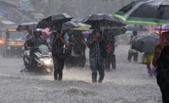 Gujarat Rain: 4 વરસાદી સિસ્ટમ સક્રિય, 7 દિવસ રાજ્યમાં વરસાદની આગાહી, જાણો ક્યાં વરસશે