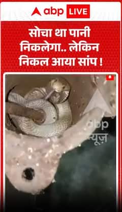 Viral Video : They Expected Water to Come Out... But a Snake Came Out Instead!
