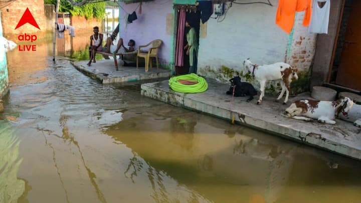 কলকাতা: টানা কয়েকদিনের বৃষ্টির প্রভাবে রাজ্যের দিকে দিকে বন্যার পরিস্থিতি। জলের তলায় মেদিনীপুর, হুগলি সহ অধিকাংশ জেলার গ্রামের ঘর-বাড়ি। এর মধ্যে আবহাওয়া নিয়ে বড় আপডেট দিল আলীপুর আবহাওয়া দফতর।