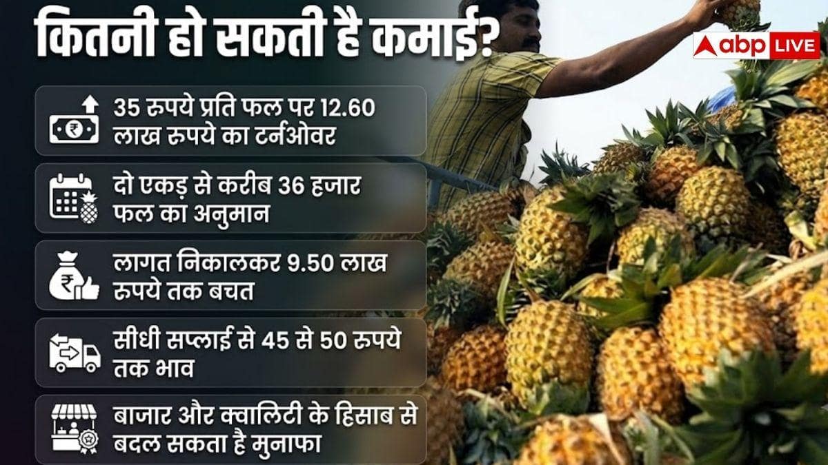 दो एकड़ में पाइनएप्पल से कितनी कमाई होगी, जानें गणित