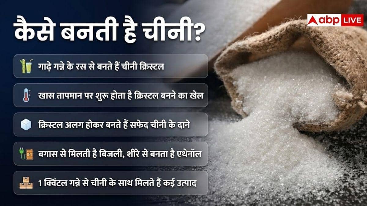 1 क्विंटल गन्ने से कितनी चीनी बनती है, क्या है इसका प्रोसेस?