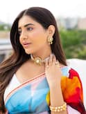 Rashi Singh : పెంపుడు పిల్లితో టాలీవుడ్ బ్యూటీ - చీర కట్టులో అందాల రాశి గ్లామరస్ లుక్