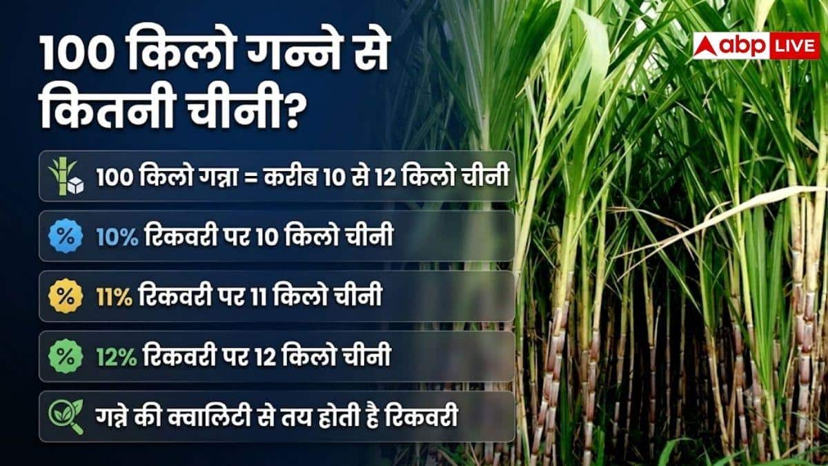1 क्विंटल गन्ने से कितनी चीनी बनती है, क्या है इसका प्रोसेस?
