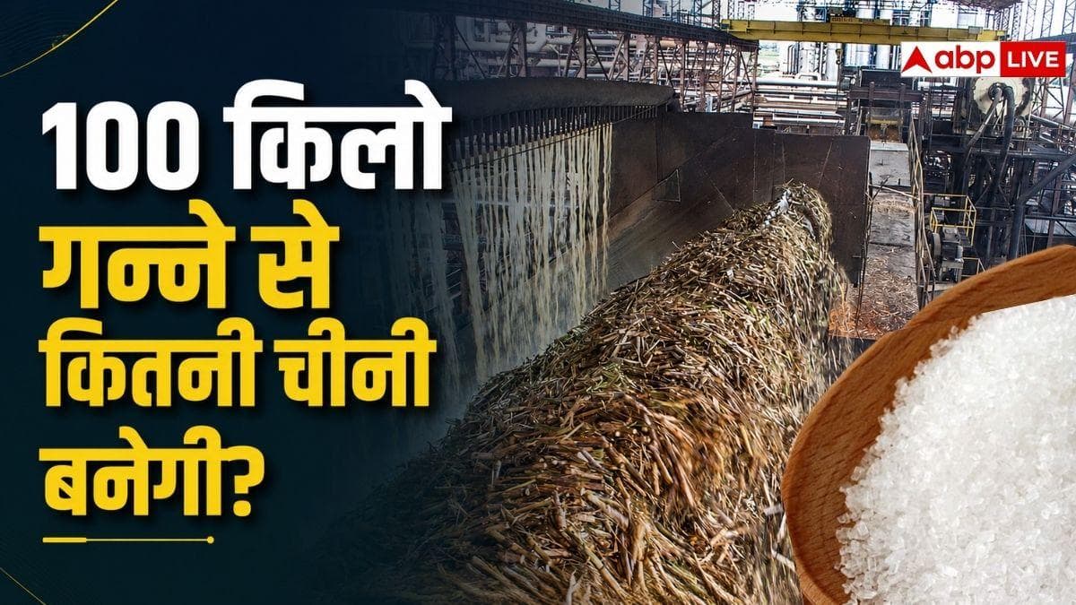 1 क्विंटल गन्ने से कितनी चीनी बनती है, क्या है इसका प्रोसेस?