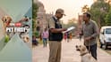 Pet First | Why Do Dog Owners Need A Licence? Know The Rules And Penalties
