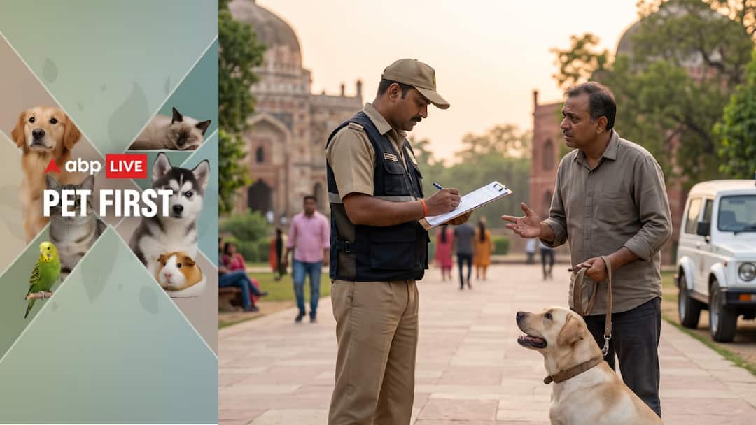 Pet First | Why Do Dog Owners Need A Licence? Know The Rules And Penalties Pet First | Why Do Dog Owners Need A Licence? Know The Rules And Penalties
