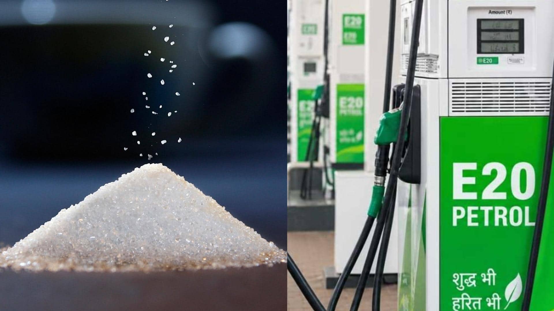Sugar Price Increased: কেন চিনির দামে বিরাট লাফ? ইথানলের জন্য নয়, দায়ী এই ৫ কারণ, কী জানাল কেন্দ্র?