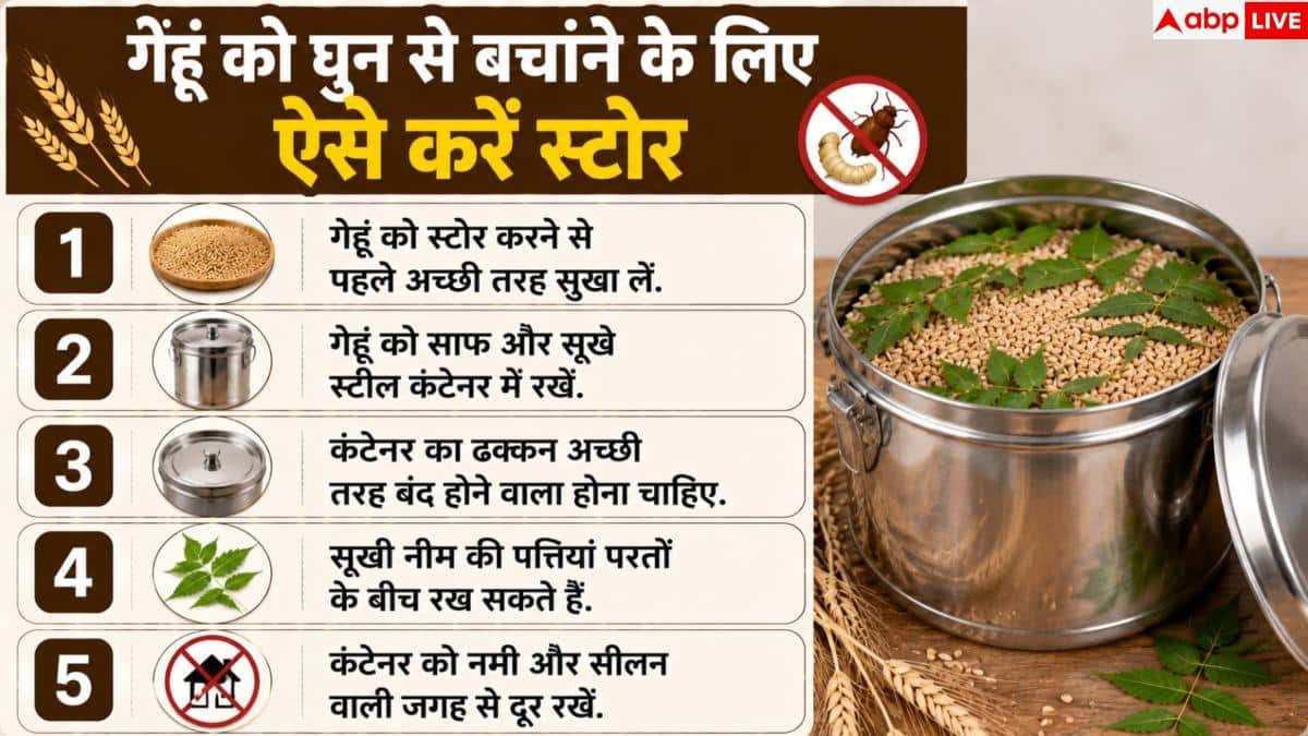 How To Store Wheat: गेहूं में नहीं लगेगा घुन! सालभर स्टोर करने के लिए अपनाएं ये देसी हैक्स 2 How To Store Wheat: गेहूं में नहीं लगेगा घुन! सालभर स्टोर करने के लिए अपनाएं ये देसी हैक्स