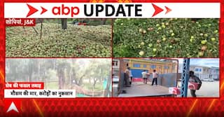 Weather Alert: Kashmir Apple Growers Face ₹400 Crore Losses After Hailstorms and Heavy Rains