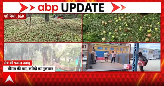 Weather Alert: Kashmir Apple Growers Face ₹400 Crore Losses After Hailstorms and Heavy Rains