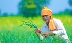 Farmers News: ਇਨ੍ਹਾਂ ਕਿਸਾਨਾਂ ਲਈ ਖੁਸ਼ਖਬਰੀ, ਖਾਤਿਆਂ 'ਚ ਸਿੱਧੇ ਆਉਣਗੇ 10 ਹਜ਼ਾਰ ਰੁਪਏ, ਜਾਣੋ ਕਿੰਨਾ ਨੂੰ ਅਤੇ ਕਿਵੇਂ ਮਿਲੇਗਾ ਲਾਭ?