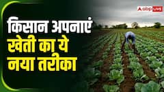 खेती पर नहीं पड़ेगा मौसम का असर, अपनाएं ये तकनीक