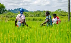 Farmers News: ਇਨ੍ਹਾਂ ਕਿਸਾਨਾਂ ਲਈ ਖੁਸ਼ਖਬਰੀ, ਖਾਤਿਆਂ 'ਚ ਸਿੱਧੇ ਆਉਣਗੇ 10 ਹਜ਼ਾਰ ਰੁਪਏ, ਜਾਣੋ ਕਿੰਨਾ ਨੂੰ ਅਤੇ ਕਿਵੇਂ ਮਿਲੇਗਾ ਲਾਭ?