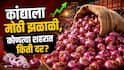 कांद्याला मोठी झळाळी! आठवडाभरात दरात 40 टक्क्यांची वाढ, शेतकऱ्यांना फायदा होणार का? तुमच्या शहरात काय दर?