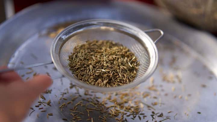 कम पानी में मसाले उगाने के लिए कुछ आसान तरीके अपनाए जा सकते हैं. सबसे पहले गमले में ऐसी मिट्टी का इस्तेमाल करें, जिसमें पानी ज्यादा देर तक जमा न रहे, इसके लिए मिट्टी में थोड़ी रेत मिलाना फायदेमंद रहता है. गमले के नीचे पानी निकलने के लिए छेद जरूर होना चाहिए, ताकि जड़ें सड़ने से बचें. पौधों को हमेशा सुबह या शाम के समय पानी दें, जब धूप तेज न हो, इससे पानी जल्दी सूखता नहीं है और पौधे को पूरा फायदा मिलता है. अगर आप किचन गार्डन में मसाले उगाने की सोच रहे हैं और पानी की बचत भी करना चाहते हैं, तो जीरा सबसे अच्छा और आसान विकल्प है. सौंफ भी एक बेहतर विकल्प है, जिसे मध्यम देखभाल की जरूरत होती है. वहीं धनिया थोड़ा ज्यादा ध्यान मांगता है.