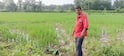 Parvathipuram Manyam District Latest News: పార్వతీపురం మన్యం జిల్లాలో ఏనుగుల వీరంగం! పంటలు తొక్కేసి వ్యవసాయ మోటారులు ధ్వంసం!