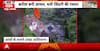UTTARAKHAND RAIN FURY: Landslides, Washed-Out Roads And Rising Naini Lake Trigger Fresh Panic