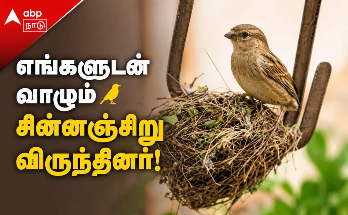 மனிதர்களை நம்பி வீட்டிற்குள் வாழும் குருவி.. காரைக்குடியில் நெகிழ்ச்சியான இயற்கை உறவு!