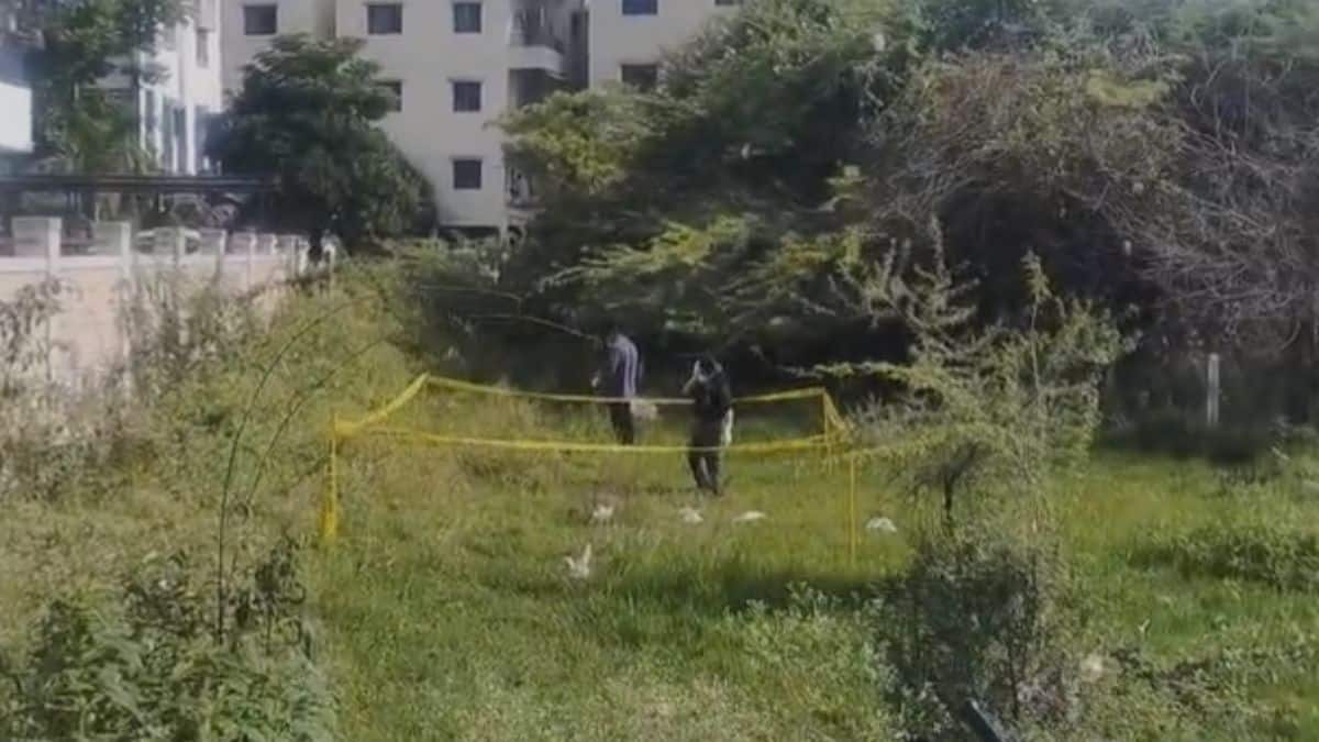 Baramati News: रोहित पवारांच्या पीएच्या अल्पवयीन मुलीचा संशयास्पद मृत्यू पोलिसांचा तपास सुरू, आत्तापर्यंत काय-काय आलं समोर? | Baramati News Suspicious death of ...
