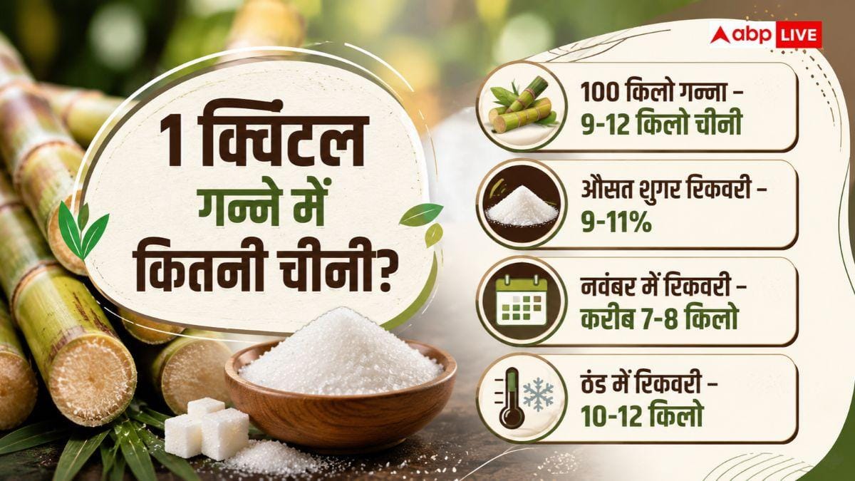 1 क्विंटल गन्ने में एथेनॉल ज्यादा बनेगा या चीनी, देखें पूरा हिसाब?