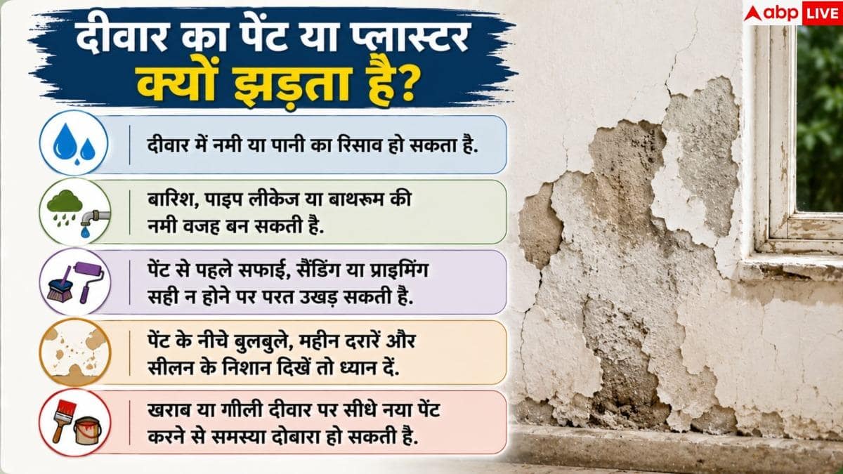 Wall Repair Tips: दीवार से झड़ने लगा है प्लास्टर और पेंट? 1 आसान तरीके से करें ठीक