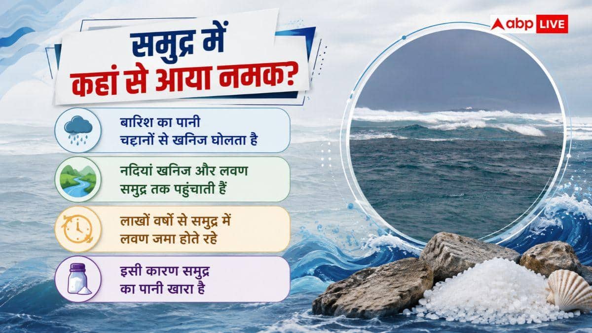 समुद्र का पानी खारा, फिर क्यों नमकीन नहीं होतीं बारिश का बूंदें?