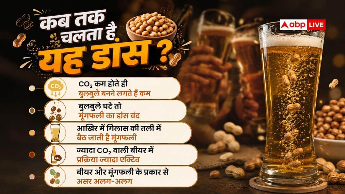 मूंगफली का ‘बीयर डांस’, क्यों शराब के गिलास में जाते ही हो जाती हैं एक्टिव?