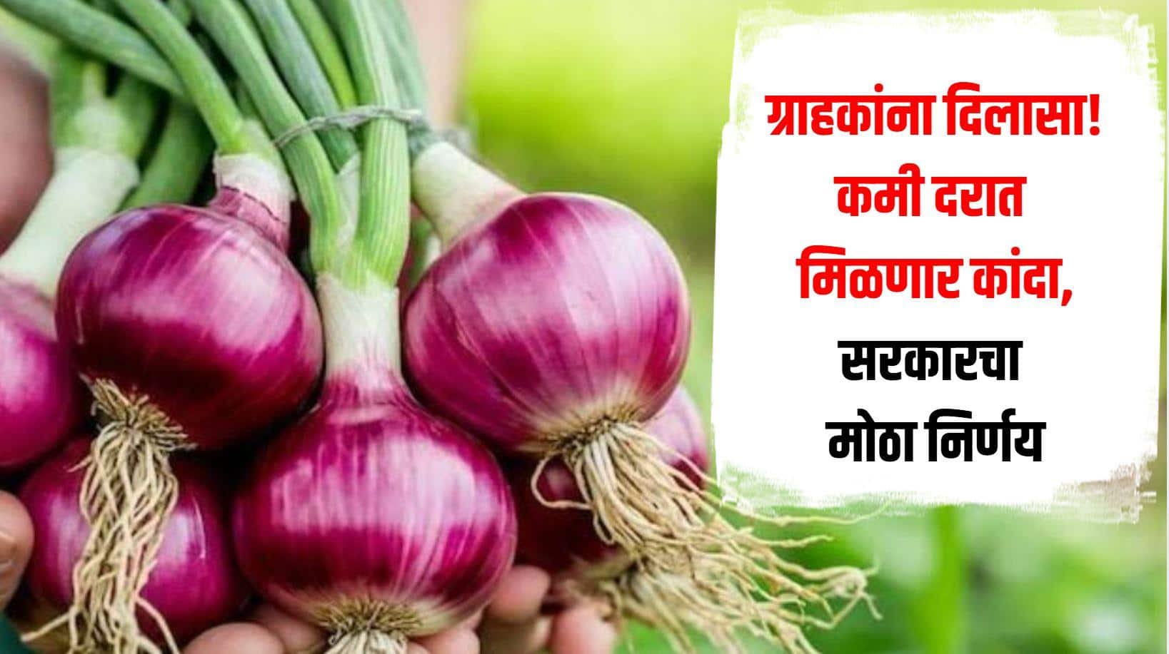 ग्राहकांना दिलासा देण्यासाठी सरकारनं घेतला मोठा निर्णय, देशाच्या राजधानीत 800 टन कांदा दाखल, कमी दरात मिळणार कांदा 