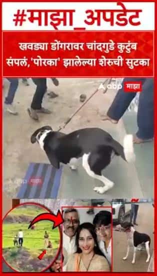 Sambhajinagar Case : खवड्या डोंगरावर चांदगुडे कुटुंब संपलं, 'पोरका' झालेल्या शेरुची सुटका