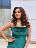 Monalisa Photo: બોલ્ડ અંદાજમાં મોનાલિસાએ લૂંટી મહેફિલ, ગ્રીન ગાઉનમાં દેખાઈ હસીન