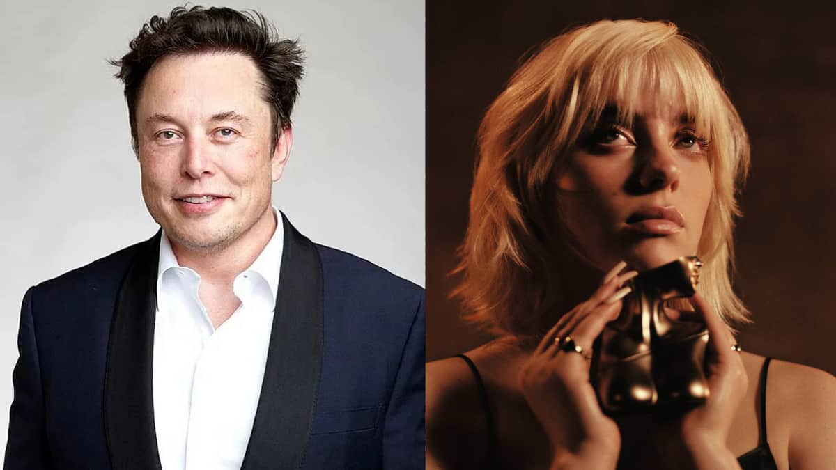 Elon Musk Targets Billie Eilish's 'Hypocrisy' Over Capitalism, Luxury Lifestyle; Asks Grok For 'Vulgar' Roast