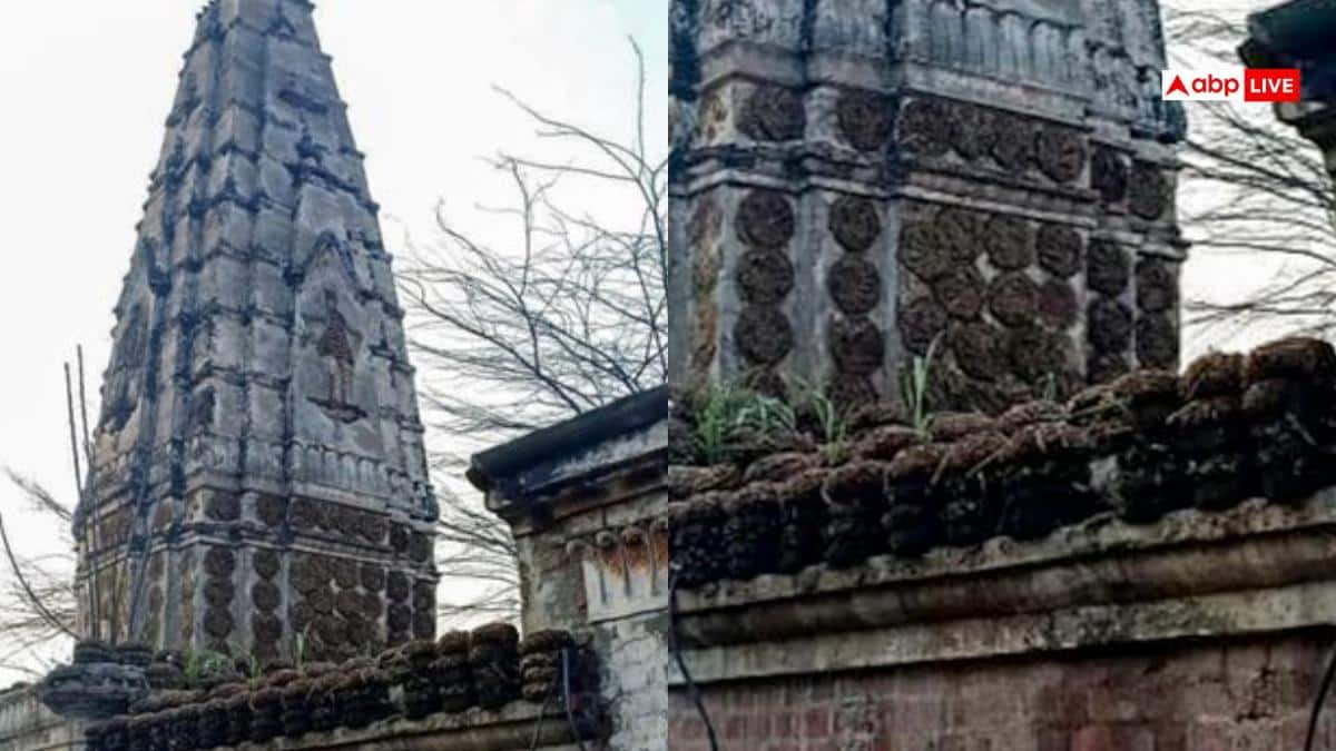 पाकिस्तान में TLP ने तोड़ा 100 साल पुराना मंदिर, मदरसा में मिलाया