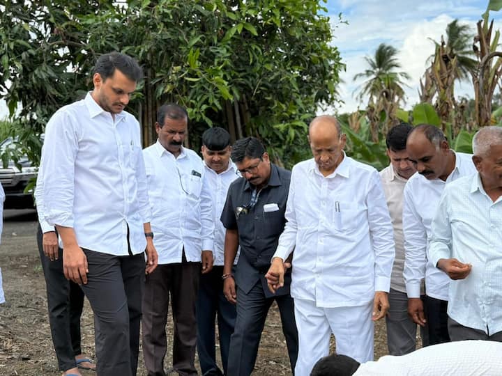 या वाणाचे वैशिष्ट्य म्हणजे त्याच्या एका फळाचे वजन साधारणतः 3 किलोपर्यंत असते.