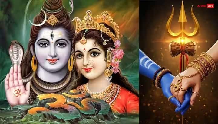 (टीप : वरील सर्व बाबी एबीपी माझा केवळ माहिती म्हणून वाचक-प्रेक्षकांपर्यंत पोहोचवत आहे. यातून एबीपी माझा कोणताही दावा करत नाही.)