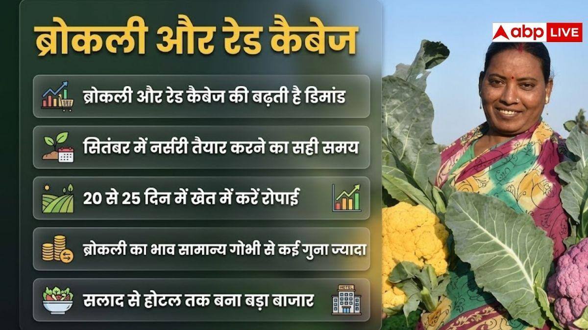 सितंबर में लगा दें ये विदेशी सब्जियां, नवंबर में कमाई शुरू