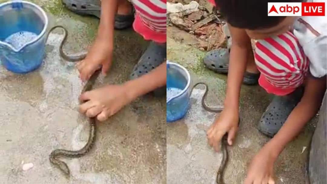 Video: चिमुकल्याकडून मगात पाणी घेत अन् साबण लावून चक्क सापाचं सर्व्हिसिंग! व्हिडिओ पाहून अनेकांना घामटा फुटला